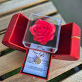 Regalo speciale - Rosa eterna e collana 